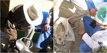 El caso enterneció a un