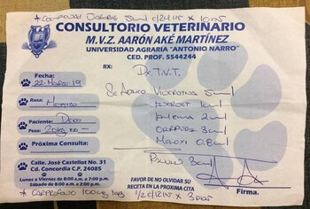 La dueña del can no