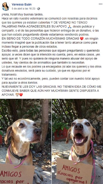 La hermana de la dueña