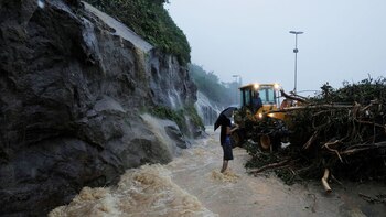 Las autoridades quitan árboles caídos