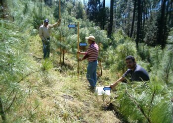 En los últimos años, el