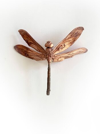 (Foto: “Reinos”, de Cabinet Óseo)