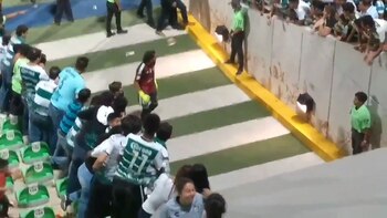 Nahuel se detuvo y observó