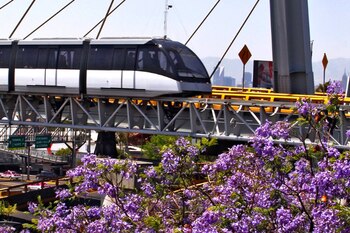 Persiguen a la víctima en