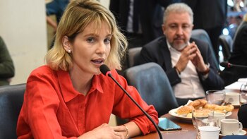 Liz Solari pidió “multas económicas