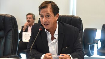 Maltrato Animal: el diputado Daniel