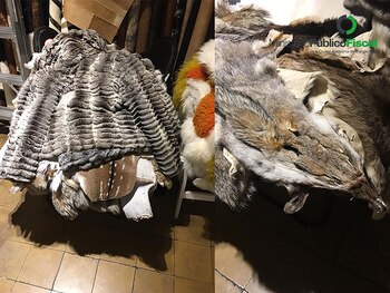 Los productos hechos con pieles animales se comercializaban en locales de San Telmo