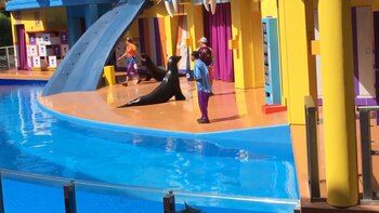 La gente asiste a los