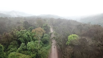 Calilegua es el único parque