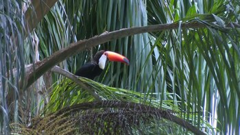 En el Parque Nacional Calilegua