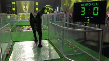 Tom pisa a los 3″,