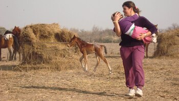 Liliana Basualdo heredó dos tercios