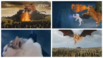 Gatos lanza fuego que someten a millones de personas (Foto: Especial)