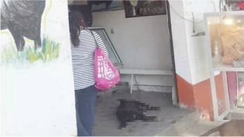 Vecinos criticaron que el dueño de la carnicería ni siquiera haya levantado el cuerpo del perro (Foto: Twitter @LaBrujaUrbana1)