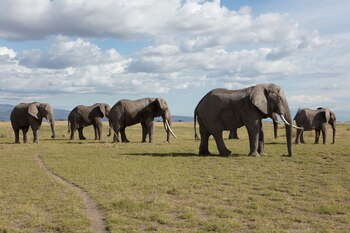 (National Geographic)