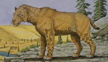 El investigador considera que la extinción de esta especie se debió a las características de sus dientes (Foto: especial)