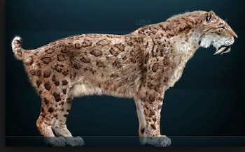 Los académicos del equipo coordinado por Damián Ruiz se dieron cuenta de que los restos pertenecían a una especie extinta en Eurasia y Rusia (Foto: especial)