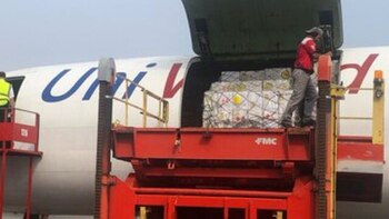 La llegada de la ayuda