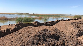 Debido a las inundaciones, se