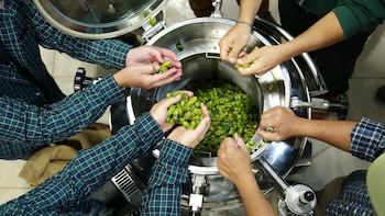 Entre los primeros días de