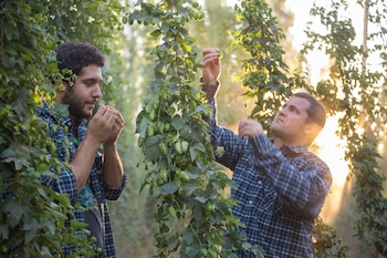 El otoño es la estación