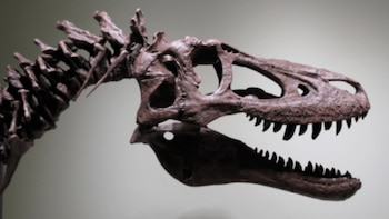 El dueño pide más de