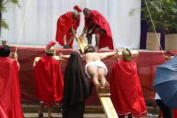 Este año se llegará a