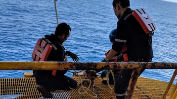 La tripulación temió que la