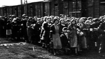 Las mujeres llevadas hacia los