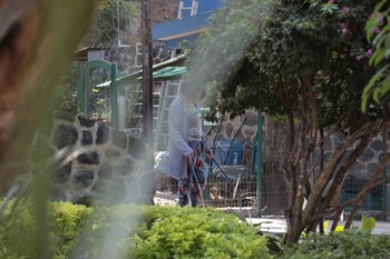 (Foto: Juan Vicente Manrique/Infobae México)