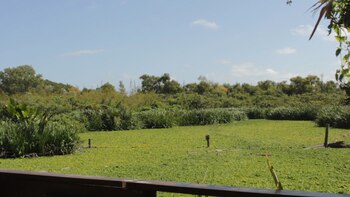 La reserva funciona no solo