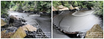 Ecopetrol instaló 126 barreras de contención