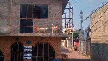 En la vivienda residían familiares