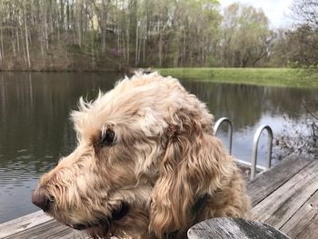 El primer diagnóstico realizado por