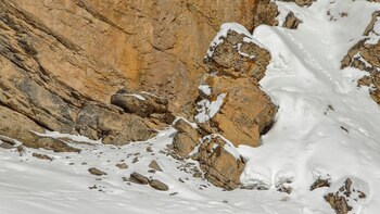 En esta otra imagen, también