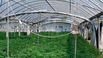 Es ilegal poseer en Riverside