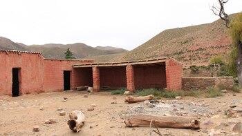 Las fotos que Emilia sacó