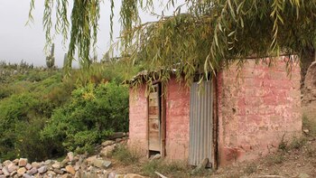 Emilia denunció que en este