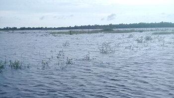 En cuanto a las actividades