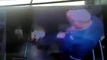 El hecho se abría presentado