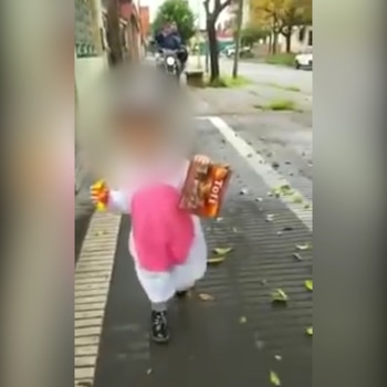 La nena caminaba junto a