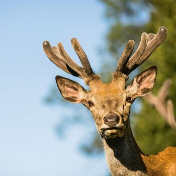 Viena alberga más tierras agrícolas orgánicas