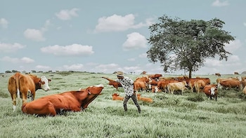 El 72% de la comunidad