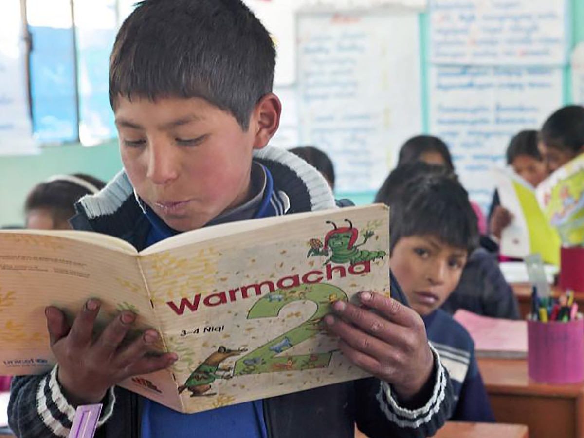 Educación indígena: el analfabetismo duplica el promedio nacional y faltan docentes preparados - Infobae