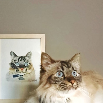 El taller para pintar a