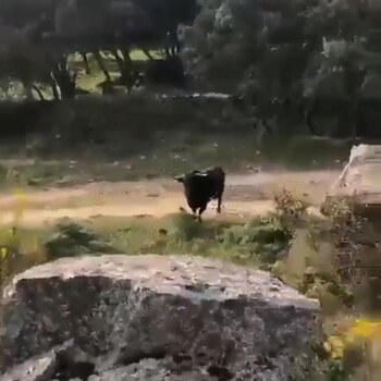 Finalmente sería atrapado