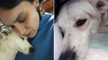 Laura Fernández, una de las