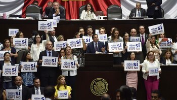 Los diputados aprobaron las reformas