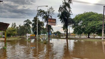 Durante el último fin de