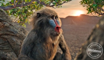 El viejo Rafiki (Foto: Disney/Entertainment